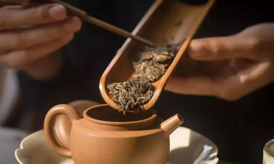 南京聊普洱茶收藏，了解收藏技巧和保存方法