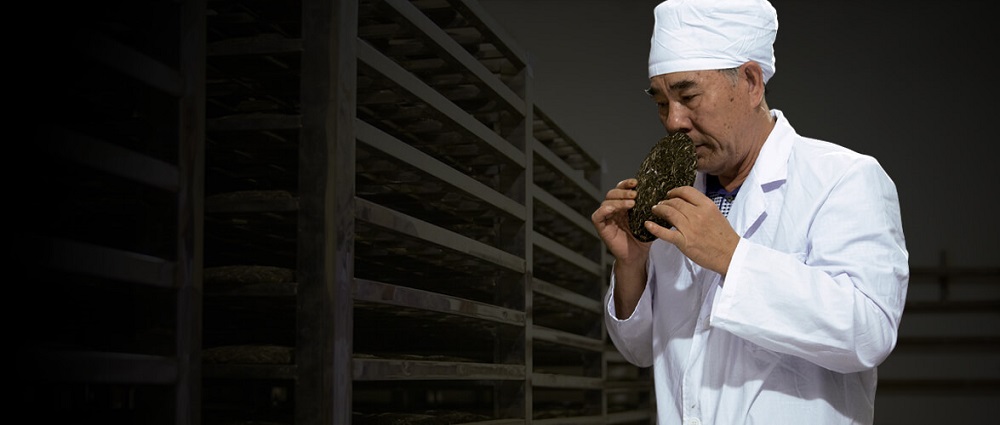 陈升号普洱茶董事长陈升河