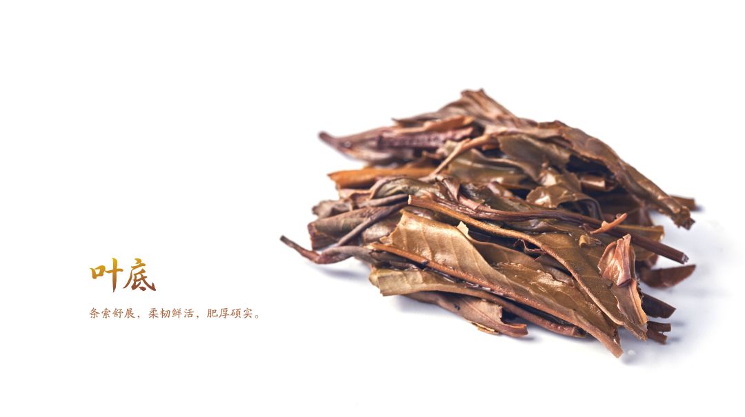 大益新品普洱茶国粹