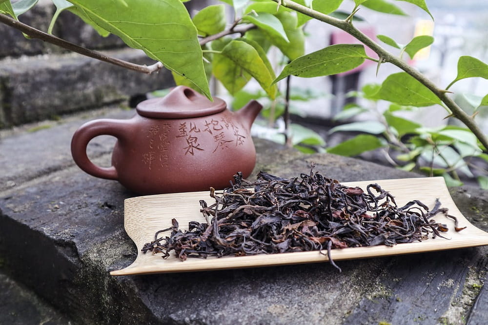 宁波易武重生之茶文化传承与普洱茶市场演变
