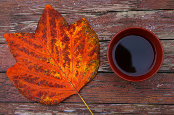 如何正确回收普洱茶？——让茶叶“再生”的正确方法。