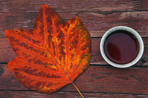 投资新选择：年轻人越来越看好普洱茶收藏投资