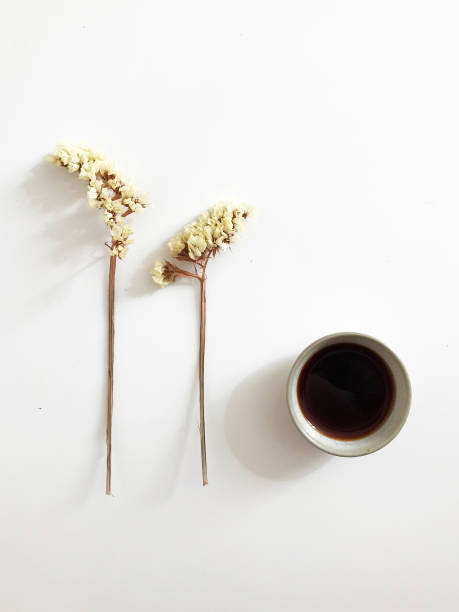 普洱茶回收市场揭秘：哪些地方可以回收你的老茶？