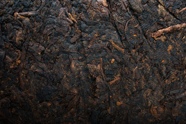 环保绿色，有回收普洱茶饼的吗？