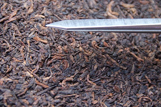 泰捷视频电脑版下载和安装教程_大益茶回收价格表最新图片大全视频下载安装手机版_2013版最新《通用规范汉字表》(全文)